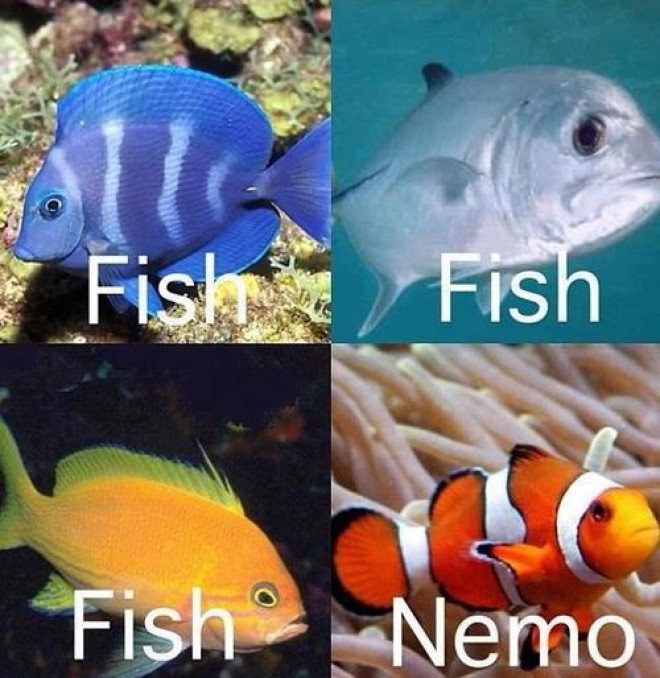 Nemo :D