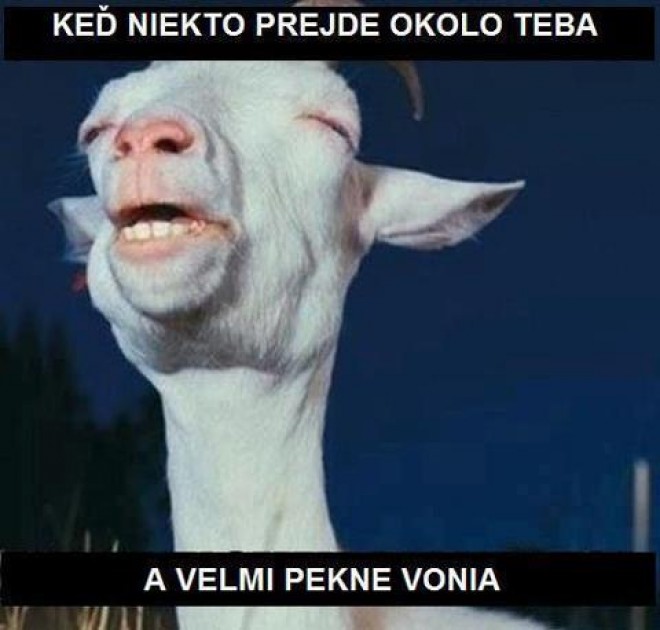 Aj vy sa tak tv�rite ? :D