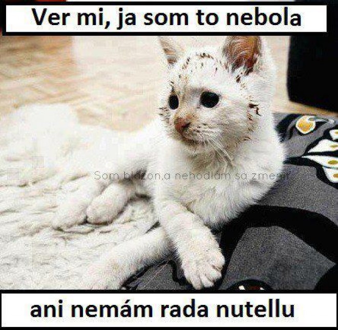 Ja som to nebola :D