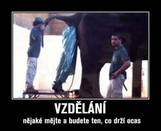 Bez koment�ra :D
