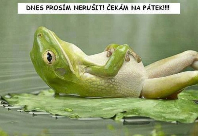 Vid�te sa v tom ? :D