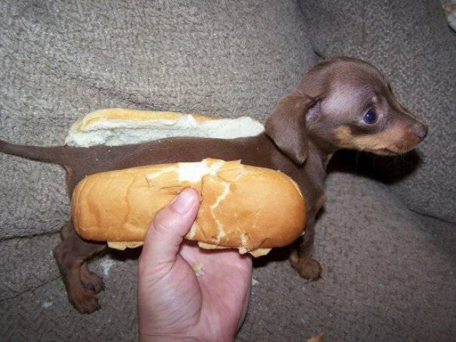 Hot-dog ?! :D