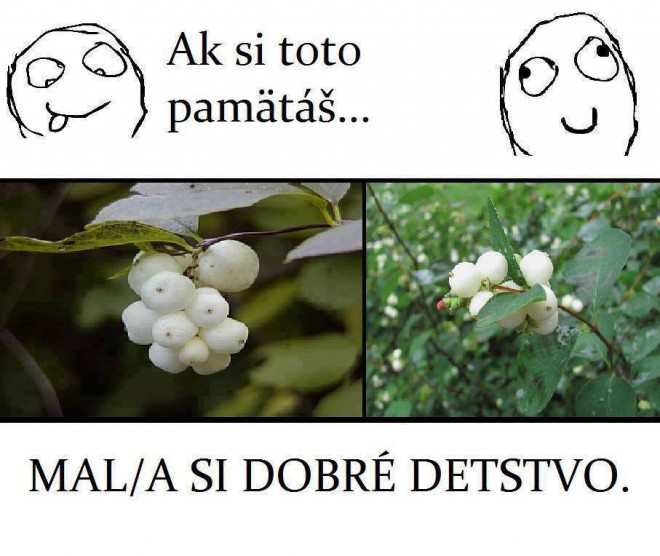 Mali ste ? :)