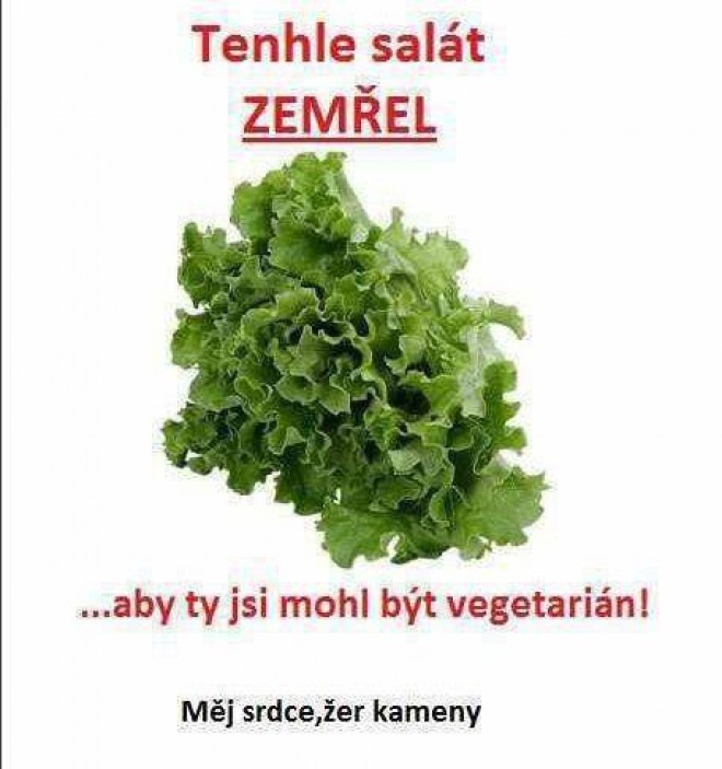 Vegetarinstvo :D
