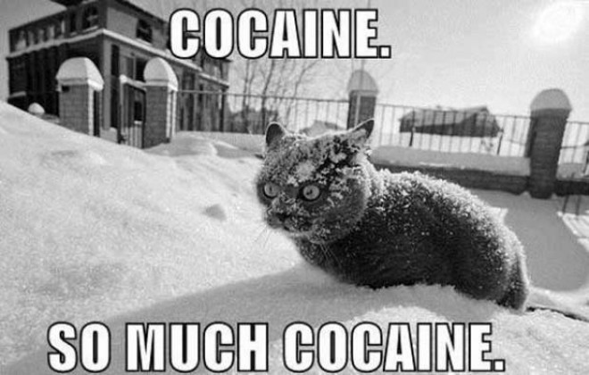 Cocaine :D