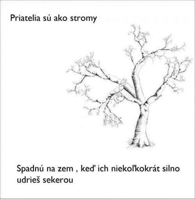 Prirovnanie jak lusk :D