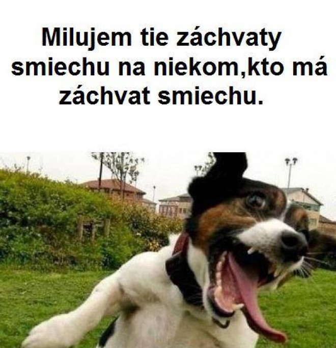 Poznme :D