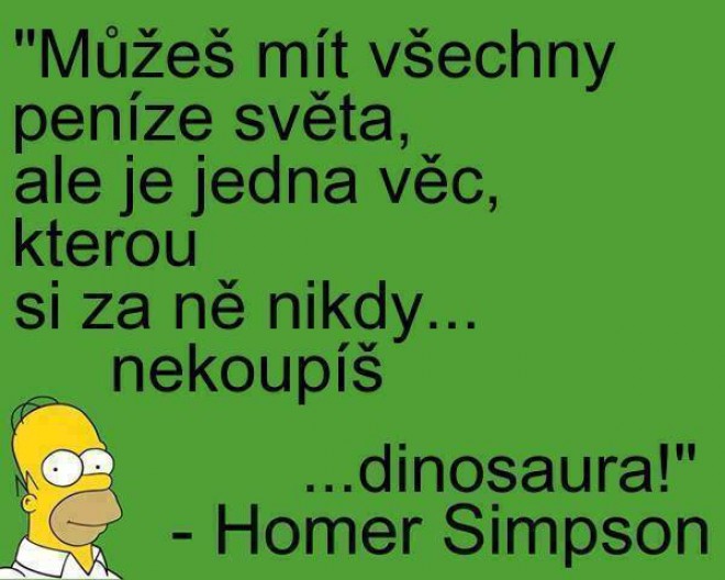 Homer najlep